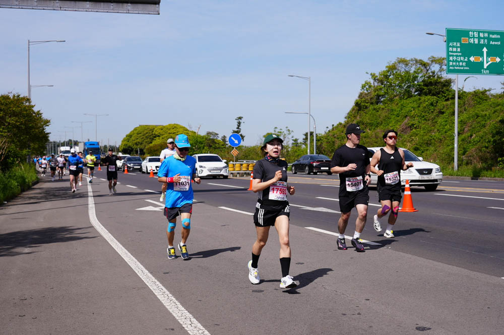 2025년_마라톤참가자_17593
