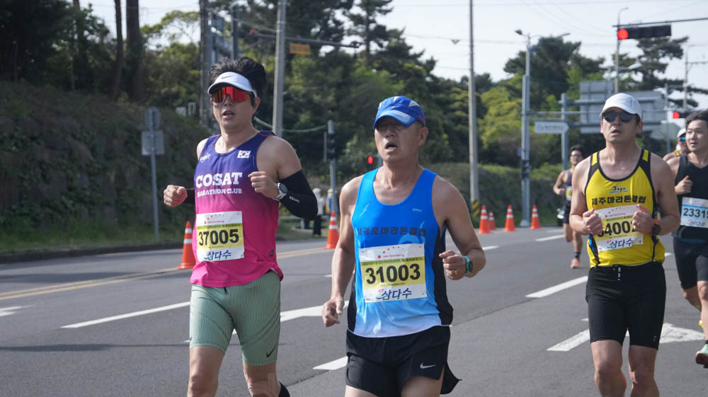 2025년_마라톤참가자_31003