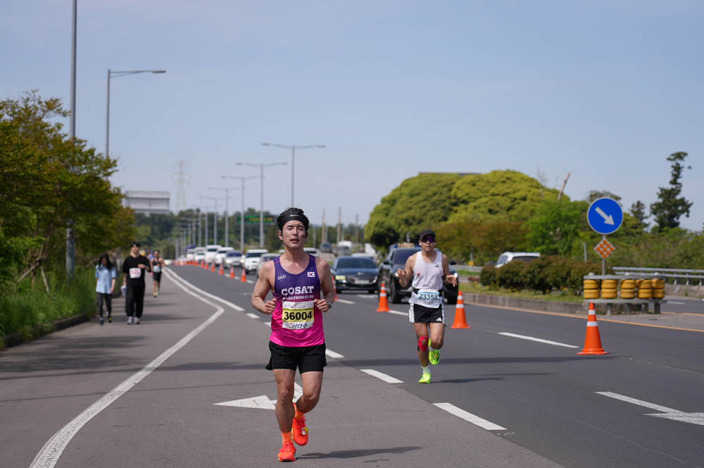 2025년_마라톤참가자_36004